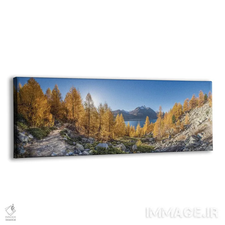 تابلو Upper Engadine Valley, Switzerland,جنگل سرخدار طلایی در امتداد دریاچه سیلس (سیلزرزه) در فصل پاییز، دره آپر انگاباور، سوئیس اثر یان بکه - نمای پرسپکتیو محصول