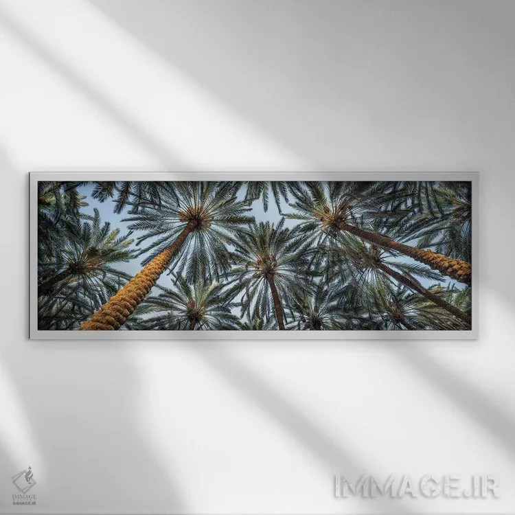 تابلو پانورامای درختان نخل اثر یان بکه - نمای قابدار سفید
