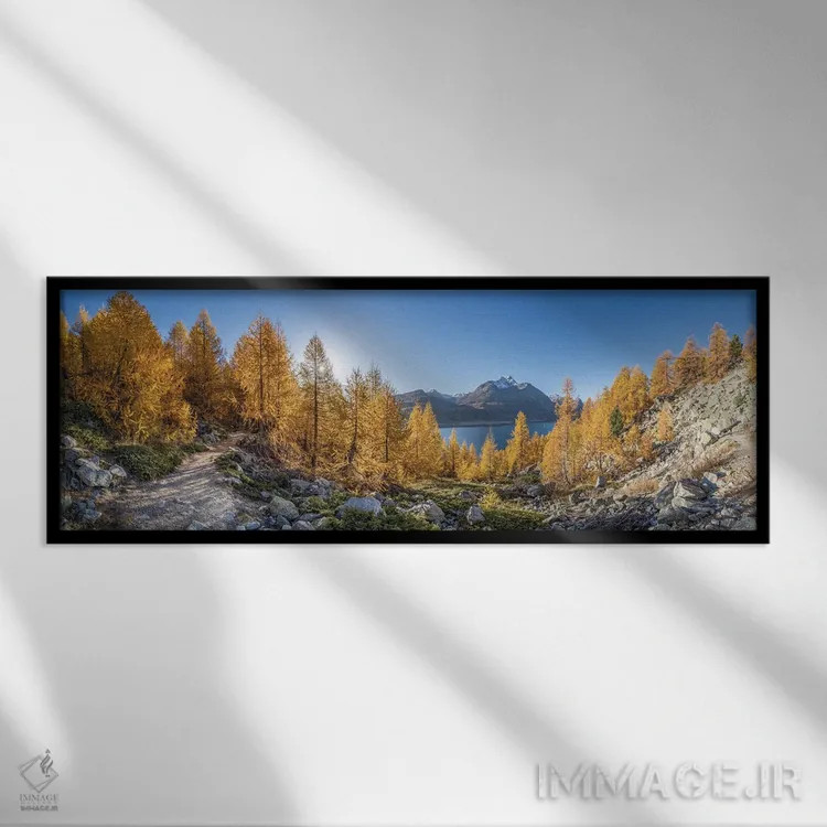 تابلو Upper Engadine Valley, Switzerland,جنگل سرخدار طلایی در امتداد دریاچه سیلس (سیلزرزه) در فصل پاییز، دره آپر انگاباور، سوئیس اثر یان بکه - نمای قابدار مشکی