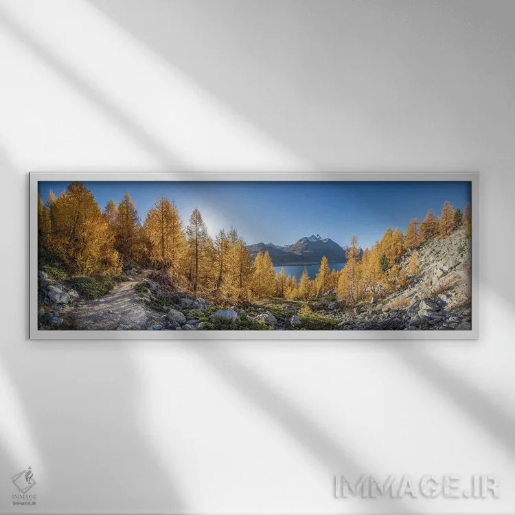 تابلو Upper Engadine Valley, Switzerland,جنگل سرخدار طلایی در امتداد دریاچه سیلس (سیلزرزه) در فصل پاییز، دره آپر انگاباور، سوئیس اثر یان بکه - نمای قابدار سفید