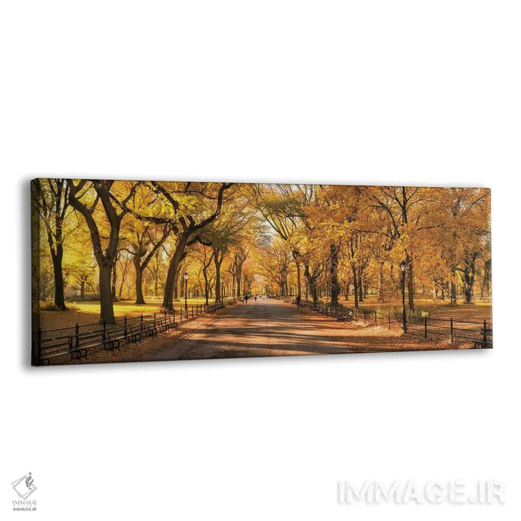 تابلو New York City, USA,منظره پانورامای سنترال پارک در پاییز، نیویورک، ایالات متحده آمریکا اثر یان بکه - نمای پرسپکتیو محصول