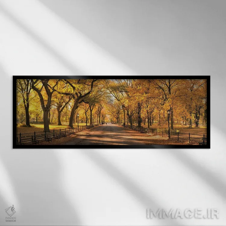 تابلو New York City, USA,منظره پانورامای سنترال پارک در پاییز، نیویورک، ایالات متحده آمریکا اثر یان بکه - نمای قابدار مشکی