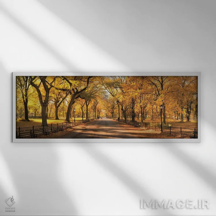 تابلو New York City, USA,منظره پانورامای سنترال پارک در پاییز، نیویورک، ایالات متحده آمریکا اثر یان بکه - نمای قابدار سفید