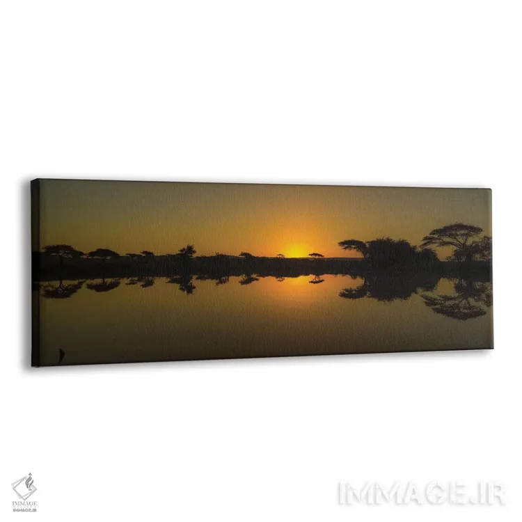 تابلو غروب آفریقا اثر اندرز یورولف - نمای پرسپکتیو محصول