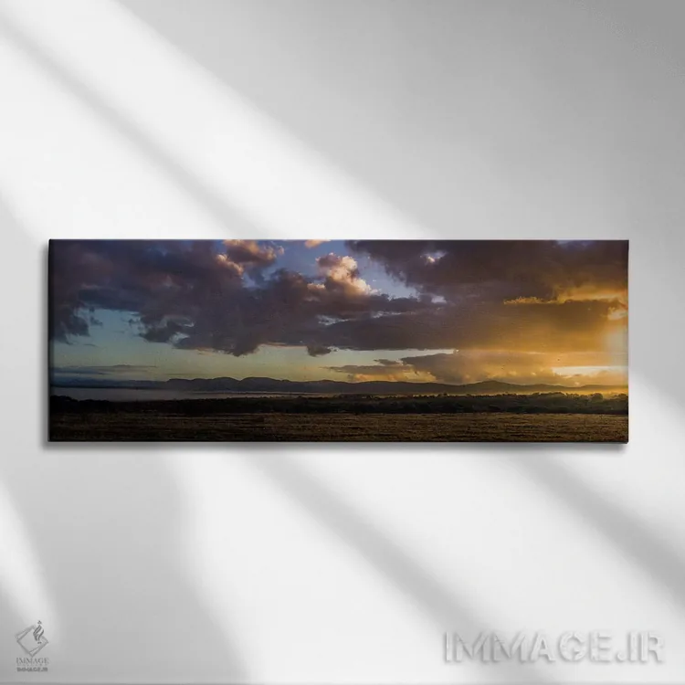 تابلو صبح آفریقایی اثر اندرز یورولف - نمای روبهرو روی دیوار