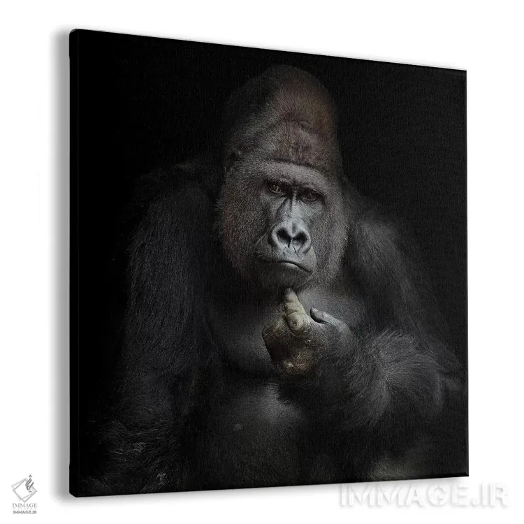 تابلو به نظر من (اصطلاح اینترنتی) اثر آنتیه ونه-براون - نمای پرسپکتیو محصول