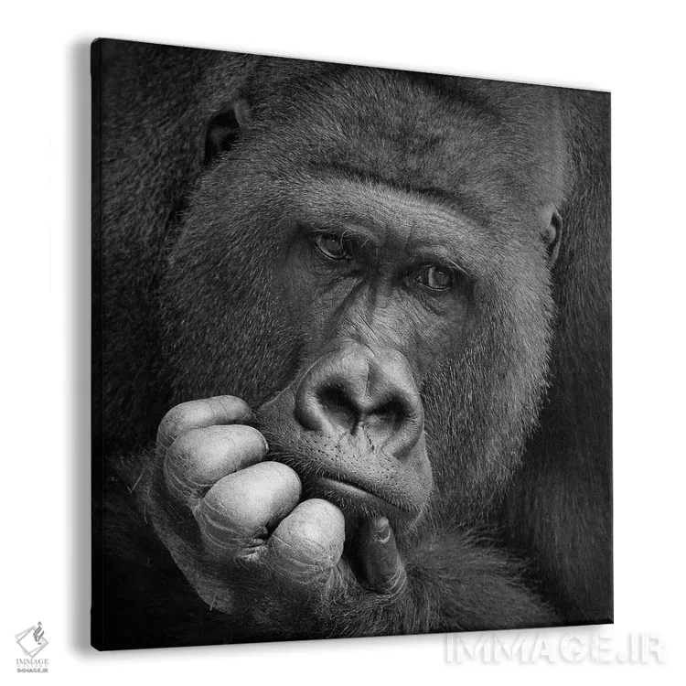 تابلو من یک رویا داشتم اثر آنتیه ونه-براون - نمای پرسپکتیو محصول