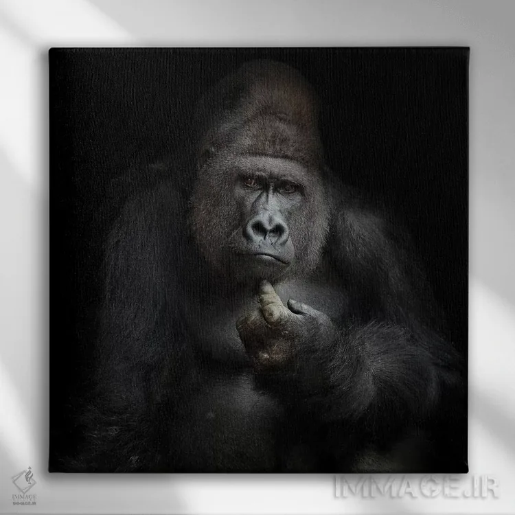 تابلو به نظر من (اصطلاح اینترنتی) اثر آنتیه ونه-براون - نمای روبهرو روی دیوار