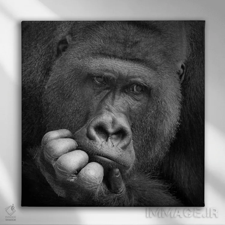 تابلو من یک رویا داشتم اثر آنتیه ونه-براون - نمای روبهرو روی دیوار