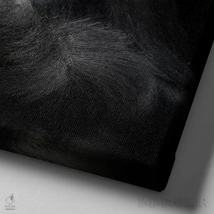 تابلو به نظر من (اصطلاح اینترنتی) اثر آنتیه ونه-براون - نمای نزدیک بافت بوم