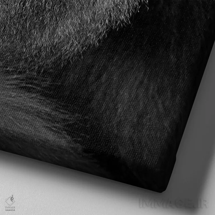 تابلو من یک رویا داشتم اثر آنتیه ونه-براون - نمای نزدیک بافت بوم