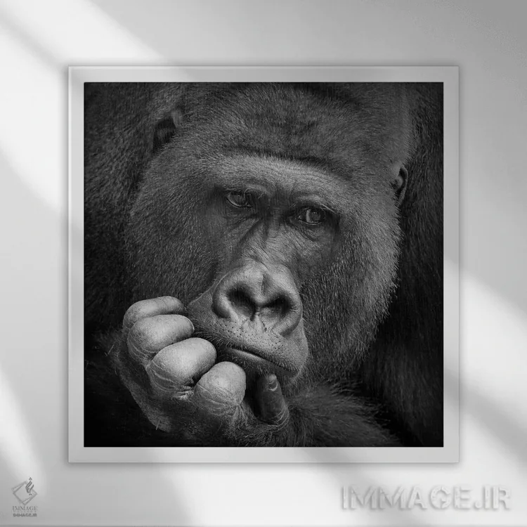 تابلو من یک رویا داشتم اثر آنتیه ونه-براون - نمای قابدار سفید