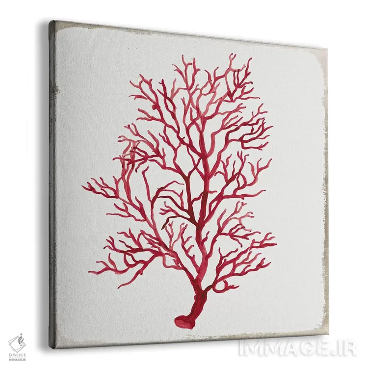 تابلو مرجان قرمز IV اثر ایمی ویلسون - نمای پرسپکتیو محصول