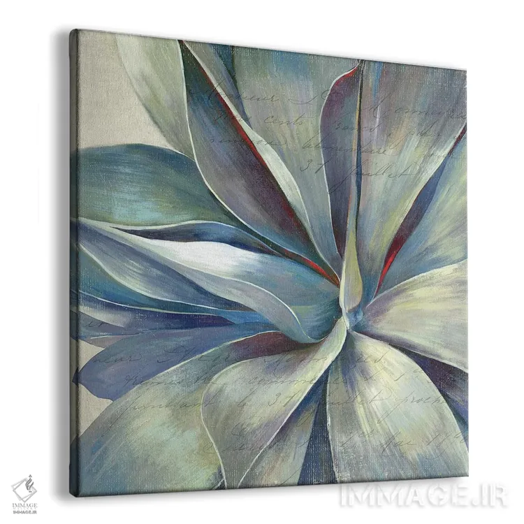 تابلو گیاه گوشتی II (ساکولنت) اثر ایمی ویلسون - نمای پرسپکتیو محصول