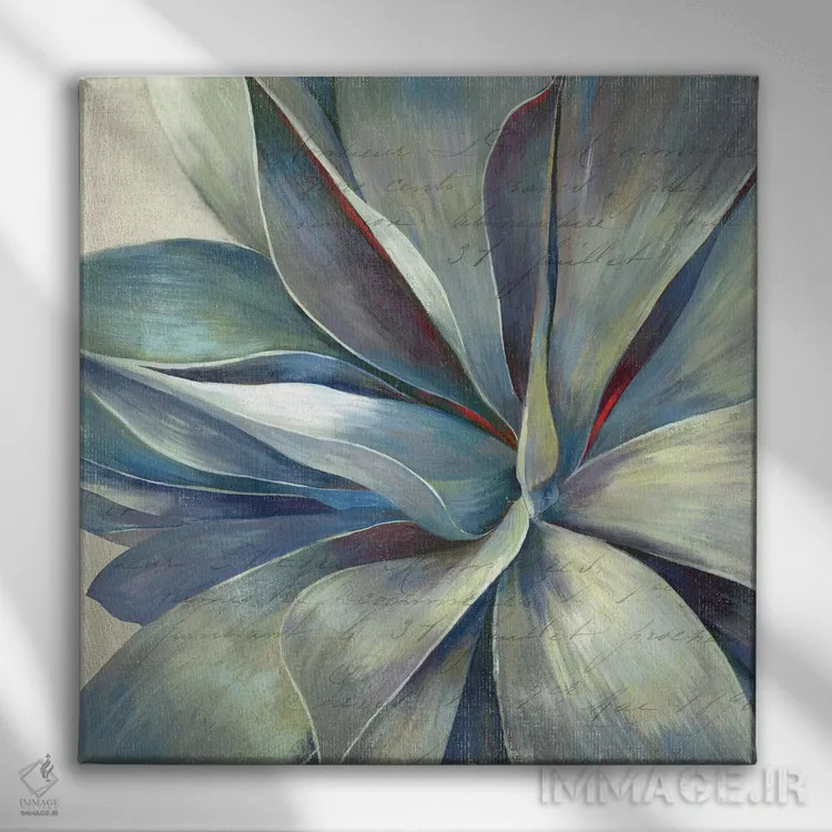 تابلو گیاه گوشتی II (ساکولنت) اثر ایمی ویلسون - نمای روبهرو روی دیوار