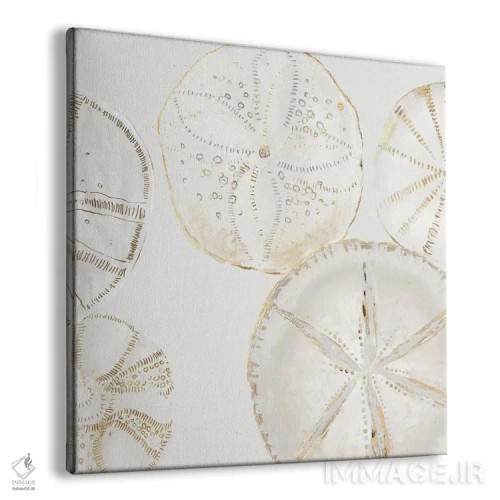 تابلو طرحهای دریایی I اثر ایمی ویلسون - نمای پرسپکتیو محصول