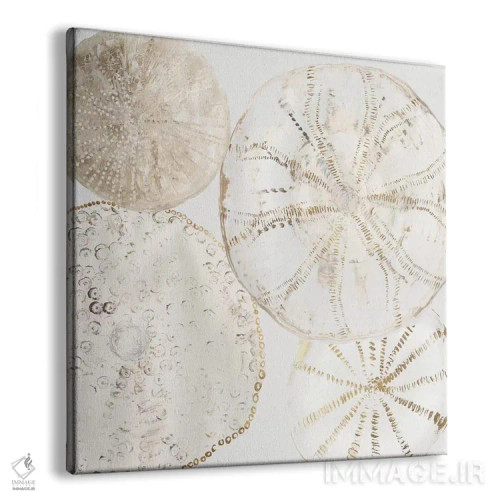 تابلو طرحهای دریایی II اثر ایمی ویلسون - نمای پرسپکتیو محصول