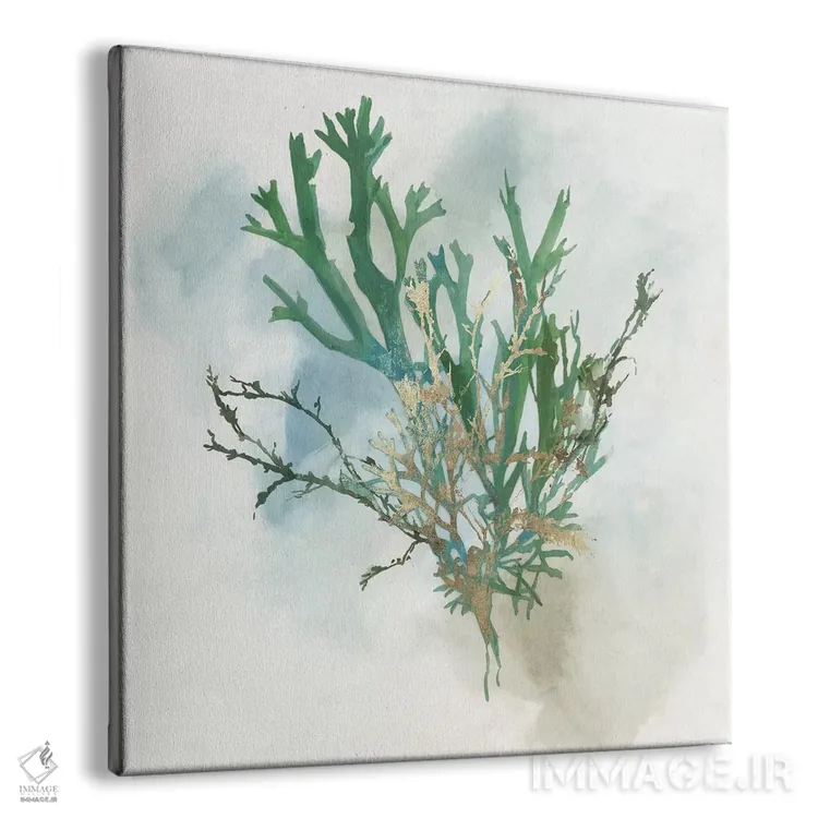 تابلو مرجان سبز I اثر ایمی ویلسون - نمای پرسپکتیو محصول