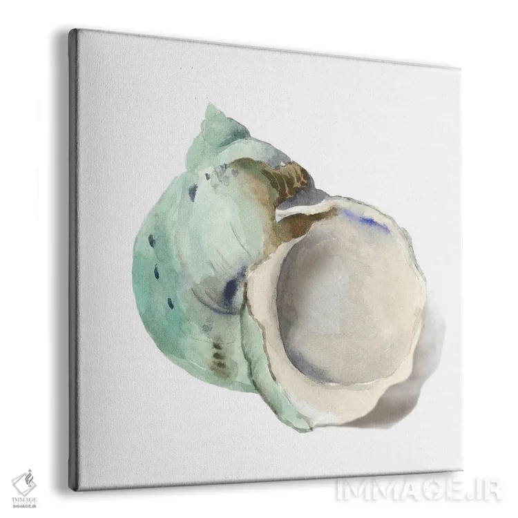 تابلو صدف مروارید اثر ایمی ویلسون - نمای پرسپکتیو محصول