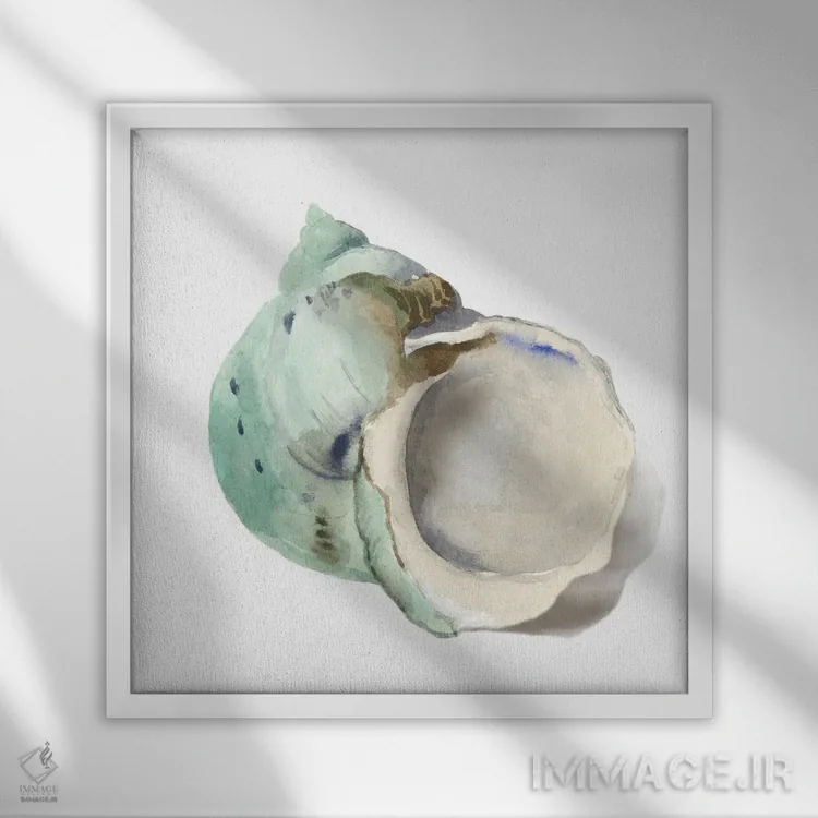 تابلو صدف مروارید اثر ایمی ویلسون - نمای قابدار سفید