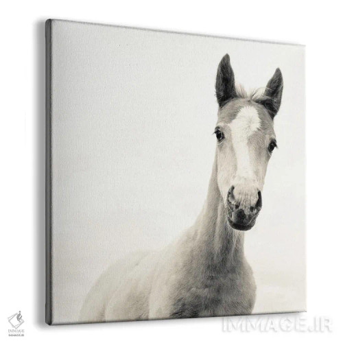 تابلو جوان اثر اندرو لِوِر - نمای پرسپکتیو محصول