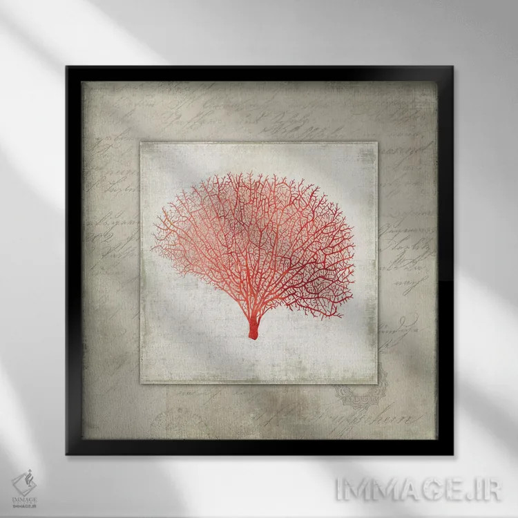 تابلو کتان مرجانی II اثر ایمی ویلسون - نمای قابدار مشکی