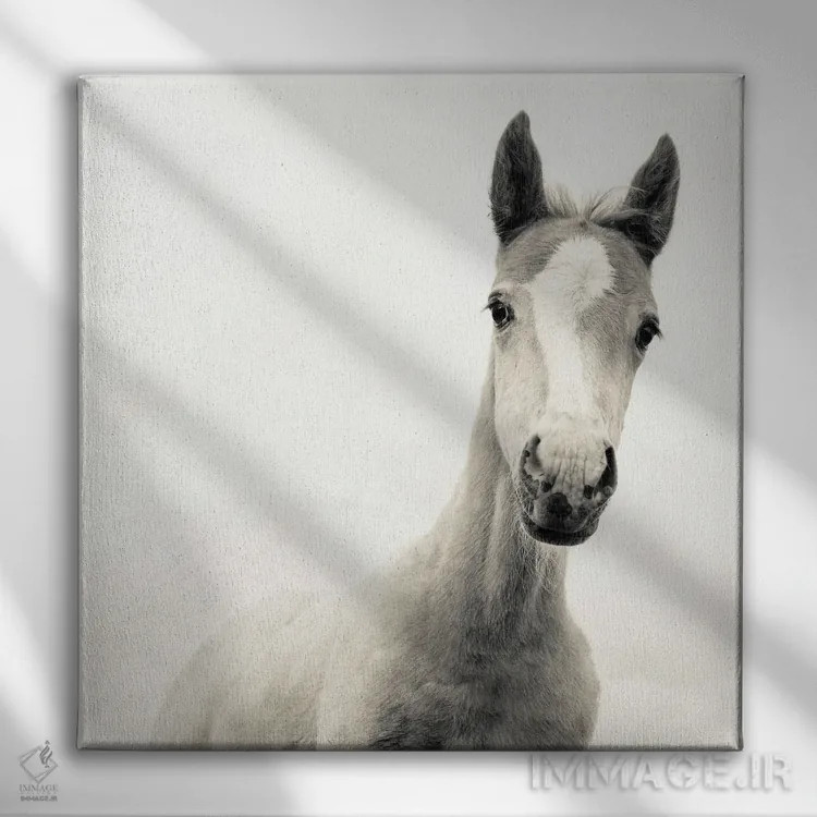 تابلو جوان اثر اندرو لِوِر - نمای روبهرو روی دیوار