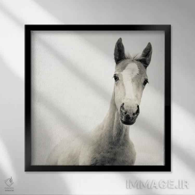 تابلو جوان اثر اندرو لِوِر - نمای قابدار مشکی