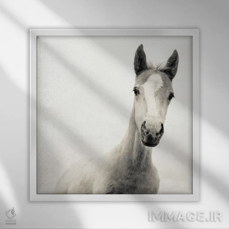 تابلو جوان اثر اندرو لِوِر - نمای قابدار سفید