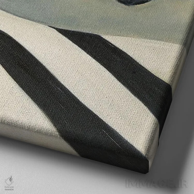 تابلو سیاهها و سفیدها (عبارت فرانسوی) اثر الکسی فاین - نمای نزدیک بافت بوم