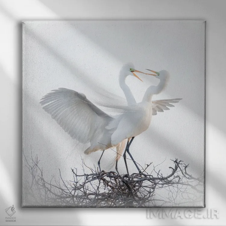 تابلو مرغان عاشق اثر الکس لی - نمای روبهرو روی دیوار