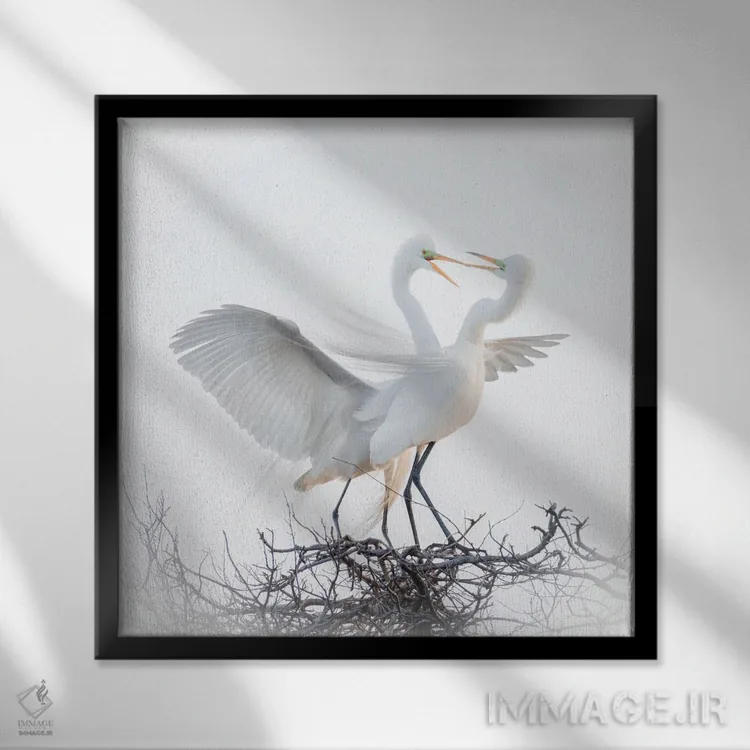 تابلو مرغان عاشق اثر الکس لی - نمای قابدار مشکی