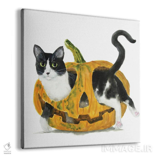 تابلو گربهٔ تاکسیدو در کدو تنبل اثر آلکسی دیمیتریویچ شمیروف - نمای پرسپکتیو محصول