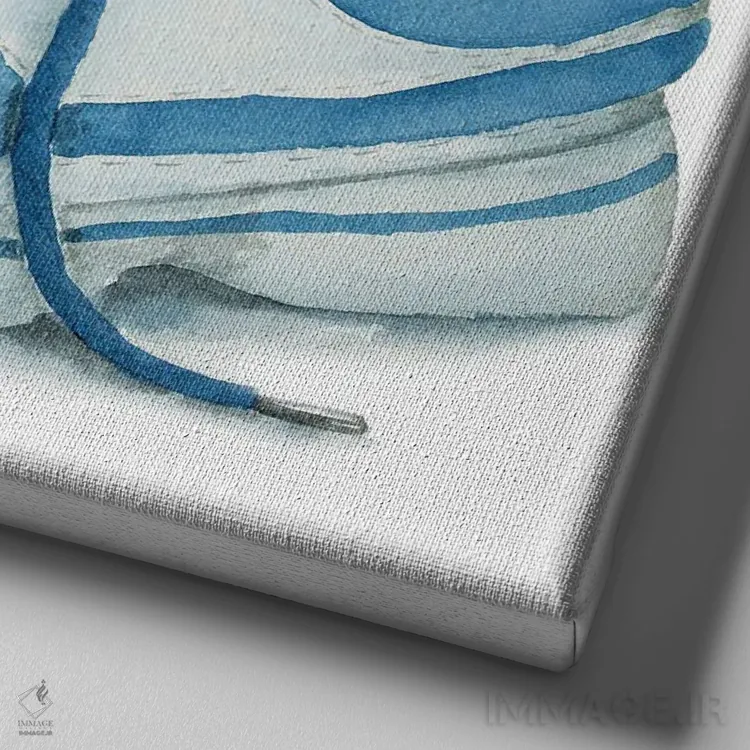 تابلو بچهگربهٔ تاکسیدو در کفش اثر آلکسی دیمیتریویچ شمیروف - نمای نزدیک بافت بوم