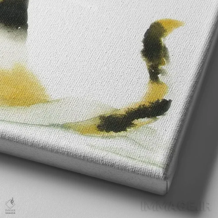 تابلو گربهٔ کالیکو و دستمال توالت اثر آلکسی دیمیتریویچ شمیروف - نمای نزدیک بافت بوم