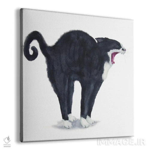 تابلو گربهی تاکسیدو در حال کش و قوس اثر آلکسی دیمیتریویچ شمیروف - نمای پرسپکتیو محصول