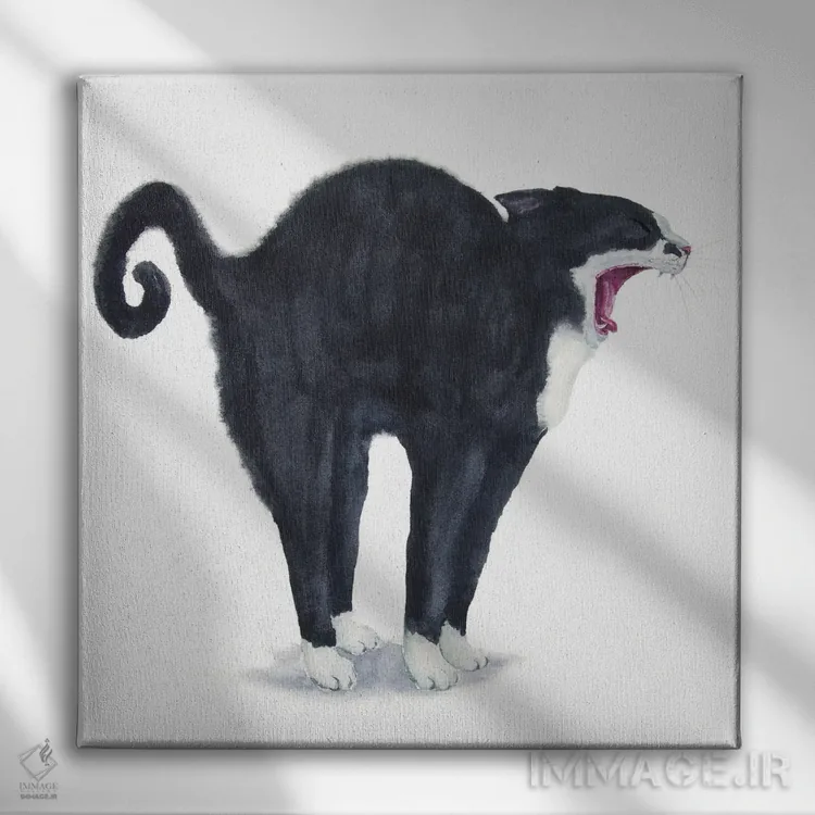 تابلو گربهی تاکسیدو در حال کش و قوس اثر آلکسی دیمیتریویچ شمیروف - نمای روبهرو روی دیوار