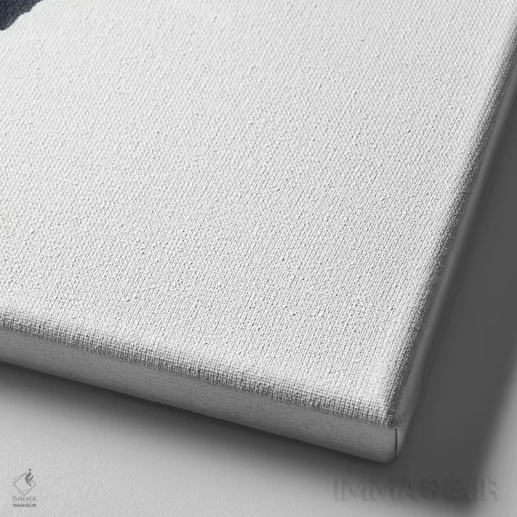 تابلو گربهی تاکسیدو در حال کش و قوس اثر آلکسی دیمیتریویچ شمیروف - نمای نزدیک بافت بوم