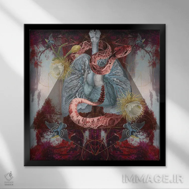 تابلو درخت کاکتوس اثر امی سالمونه - نمای قابدار مشکی