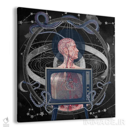 تابلو پیچیدگیهای فناورانه اثر امی سالمونه - نمای پرسپکتیو محصول
