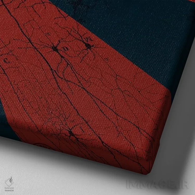 تابلو اتصالات نورونی اثر امی سالمونه - نمای نزدیک بافت بوم