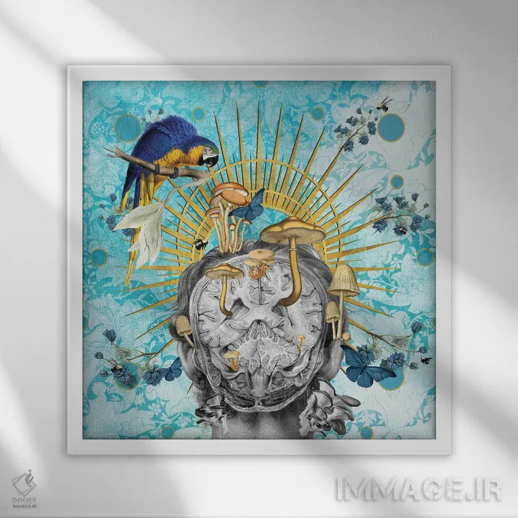 تابلو فراوانی اثر امی سالمونه - نمای قابدار سفید