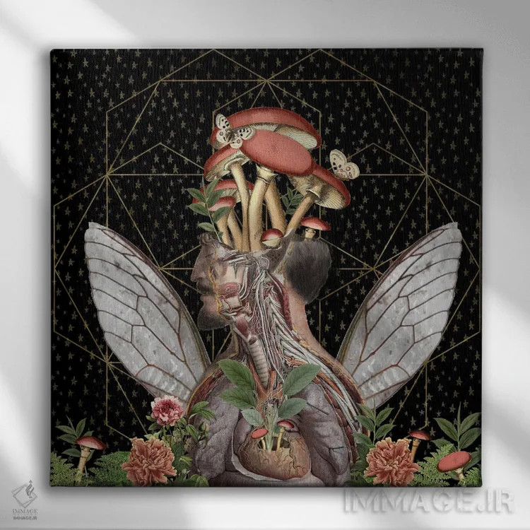 تابلو دو پروانه اثر امی سالمونه - نمای روبهرو روی دیوار