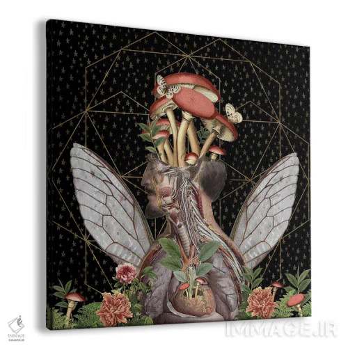 تابلو دو پروانه اثر امی سالمونه - نمای پرسپکتیو محصول