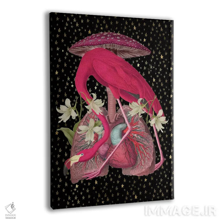 تابلو آلیس کجاست اثر امی سالمونه - نمای پرسپکتیو محصول