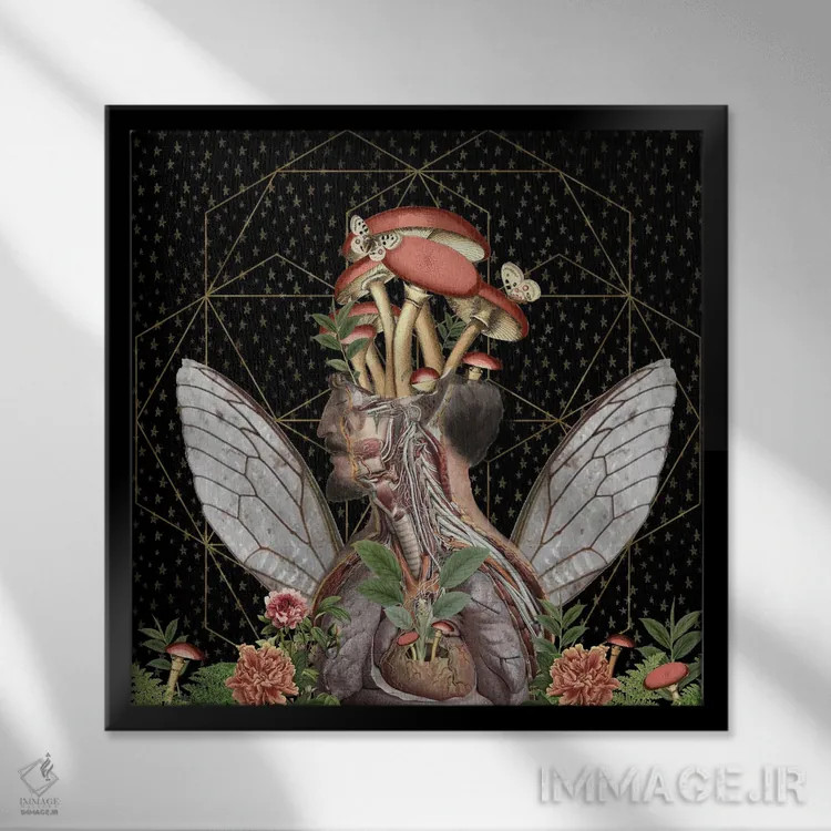 تابلو دو پروانه اثر امی سالمونه - نمای قابدار مشکی