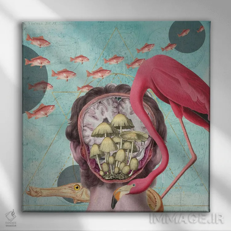 تابلو خواب راحت اثر امی سالمونه - نمای روبهرو روی دیوار