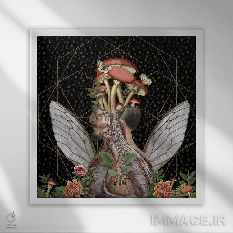 تابلو دو پروانه اثر امی سالمونه - نمای قابدار سفید