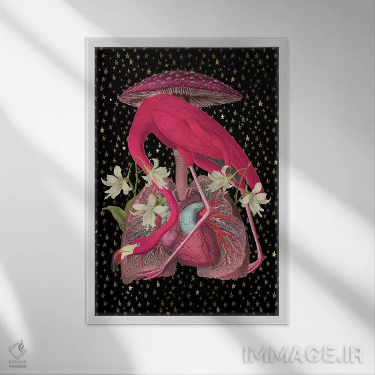 تابلو آلیس کجاست اثر امی سالمونه - نمای قابدار سفید