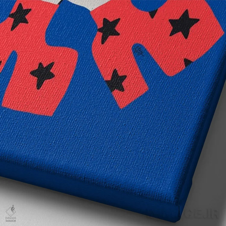 تابلو گربهٔ احساس اثر الی وایلد - نمای نزدیک بافت بوم